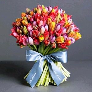 Meet your Posher, Bridgett